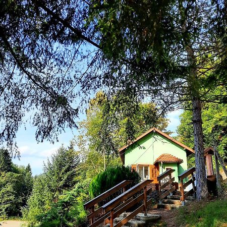 Gite L'Envol Villa Belval  Ngoại thất bức ảnh